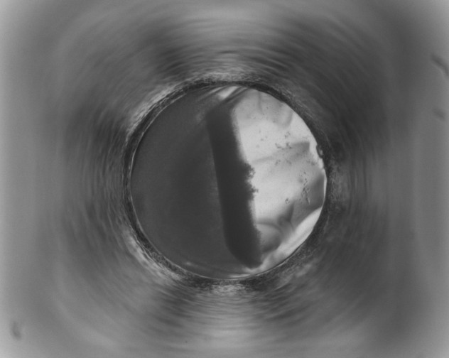 X0000099950446200806131451