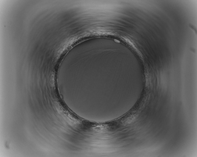 X0000099950447200806131451