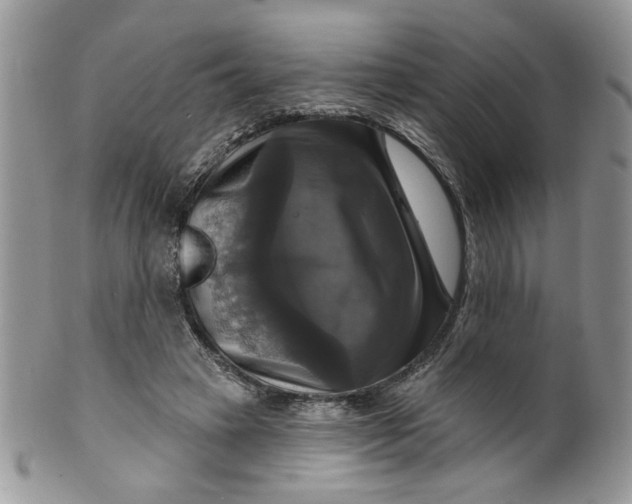 X0000099950449200806131451
