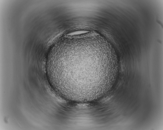 X0000099950450200806131451