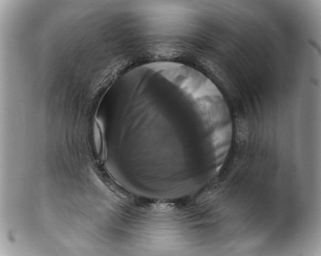 X0000099950451200806131451