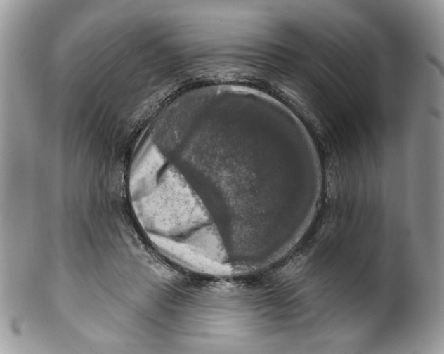 X0000099950453200806131451