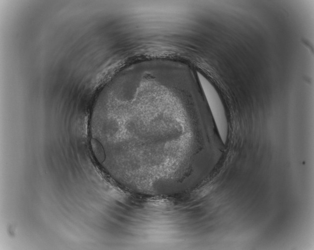 X0000099950454200806131451