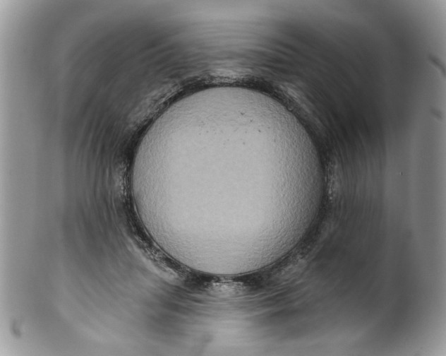 X0000099950455200806131451