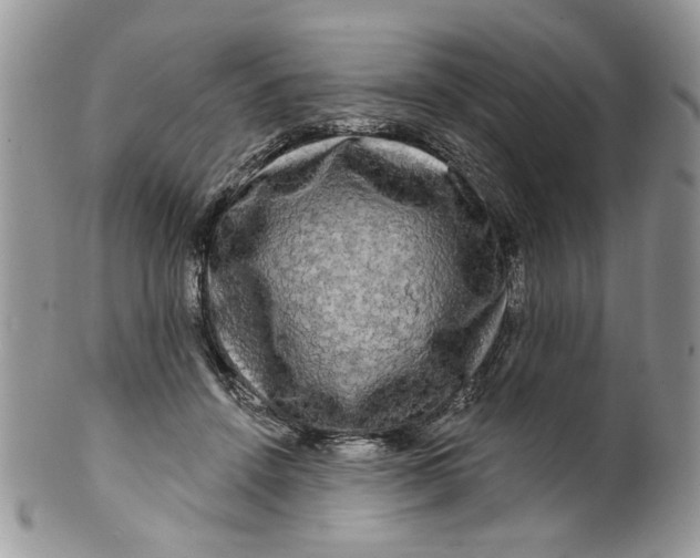 X0000099950456200806131451