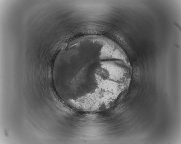 X0000099950457200806131451