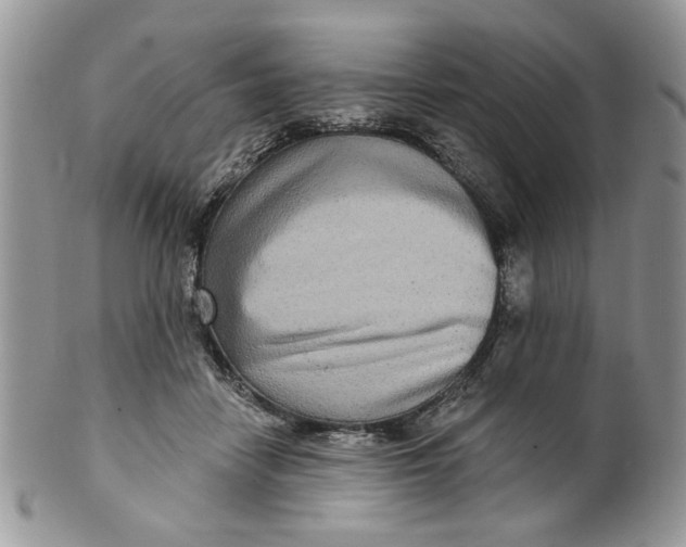 X0000099950458200806131451