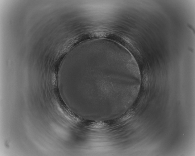 X0000099950459200806131451