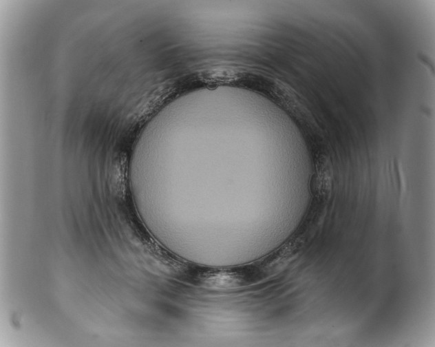 X0000099950460200806131451