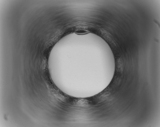 X0000099950463200806131451