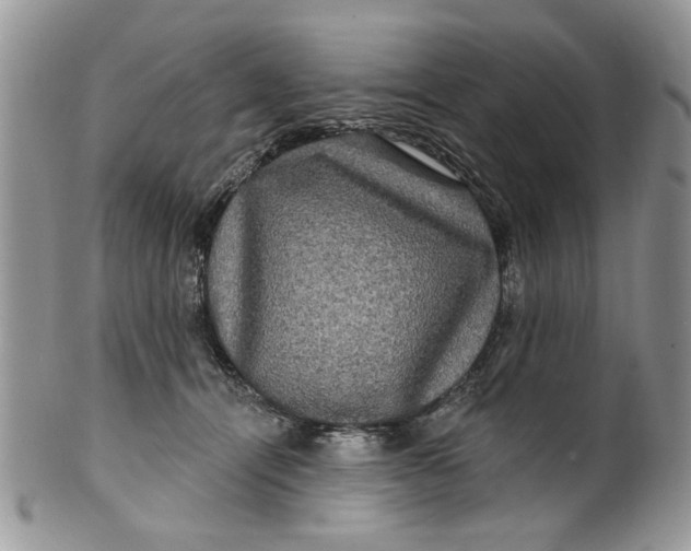 X0000099950464200806131451