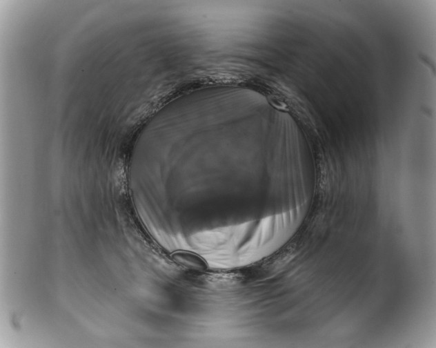X0000099950465200806131451