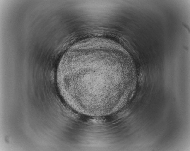 X0000099950466200806131451