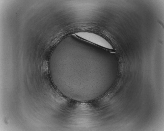 X0000099950467200806131451