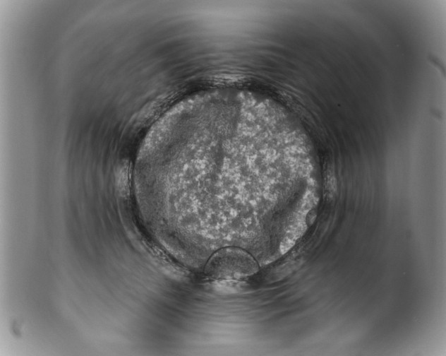 X0000099950468200806131451