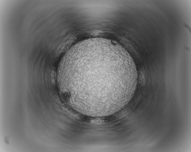 X0000099950470200806131451