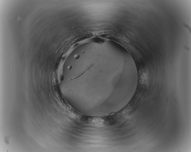 X0000099950471200806131451