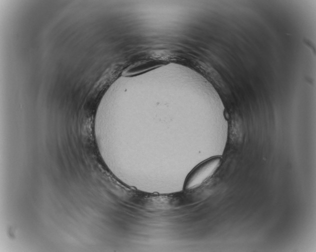 X0000099950473200806131451