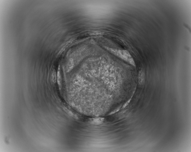 X0000099950474200806131451