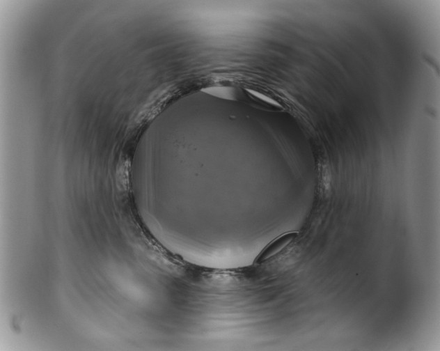 X0000099950475200806131451