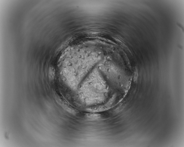 X0000099950476200806131451