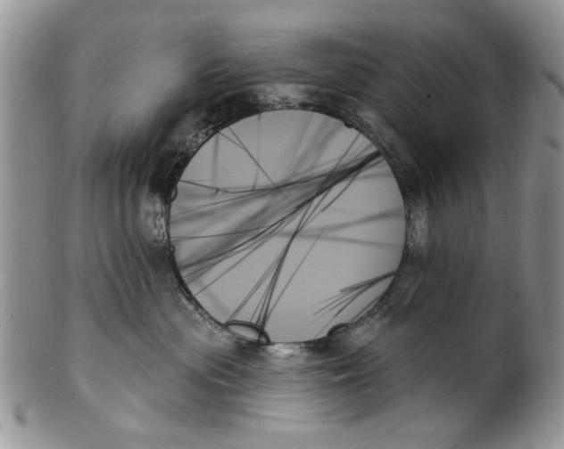 X0000099950477200806131451