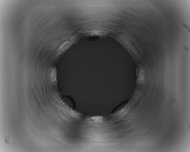 X0000099950478200806131451