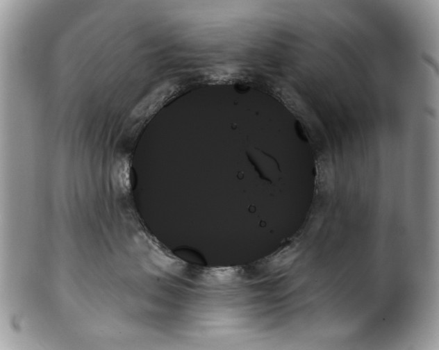 X0000099950479200806131451