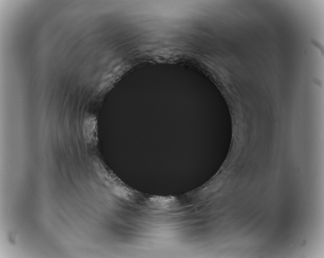 X0000099950480200806131451