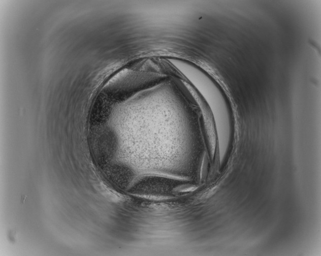 X0000099950481200806131451
