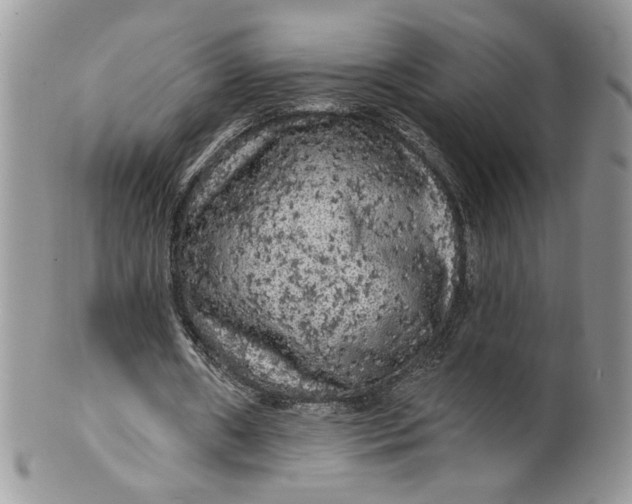 X0000099950482200806131451