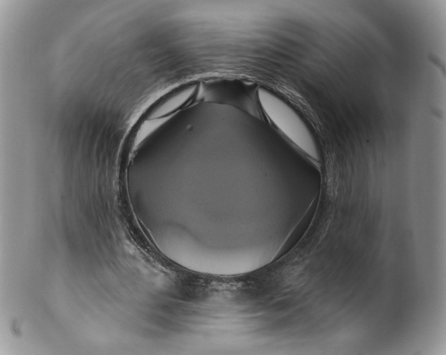 X0000099950484200806131451