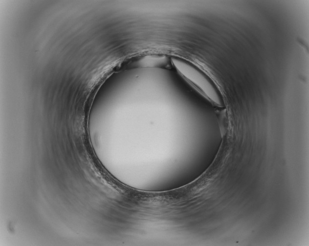 X0000099950485200806131451
