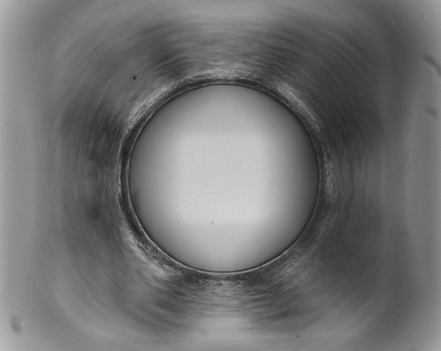 X0000099950486200806131451