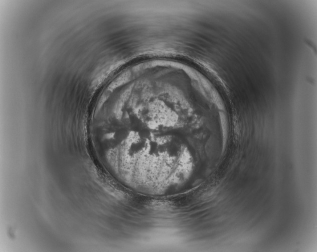 X0000099950487200806131451