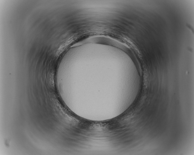 X0000099950489200806131451