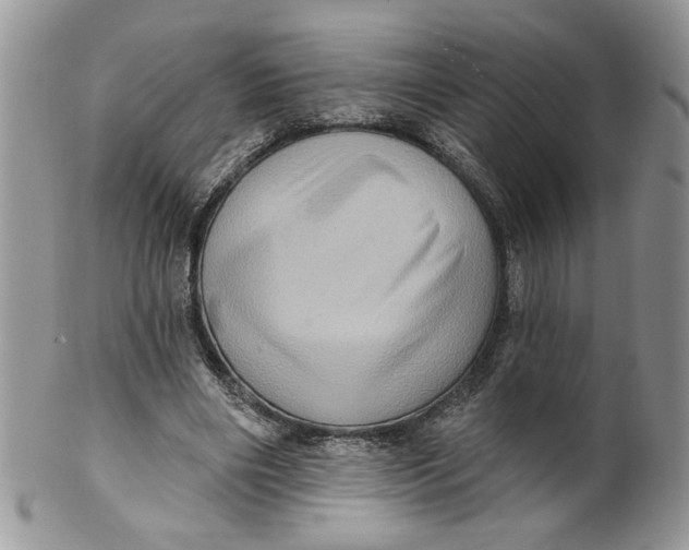 X0000099950490200806131451