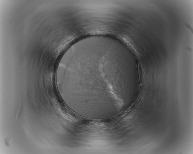 X0000099950491200806131451