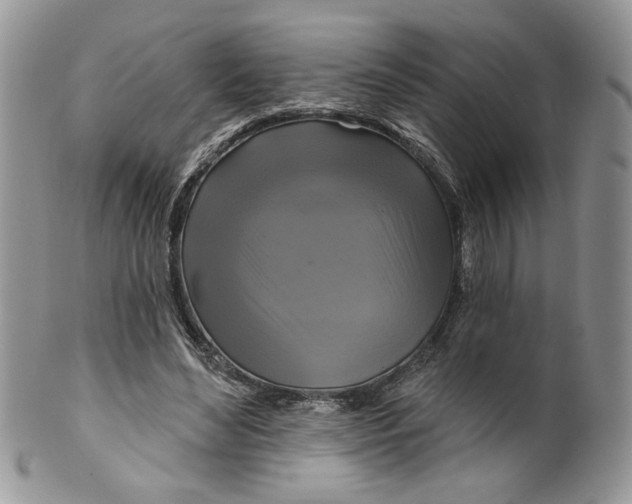 X0000099950492200806131451