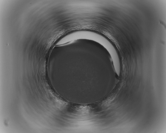 X0000099950493200806131450