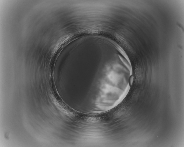 X0000099950494200806131450