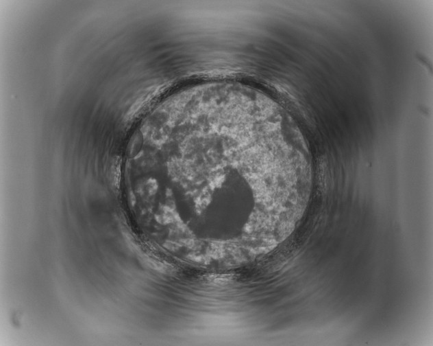 X0000099950495200806131450