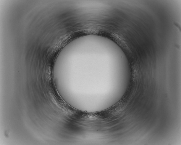 X0000099950498200806131450