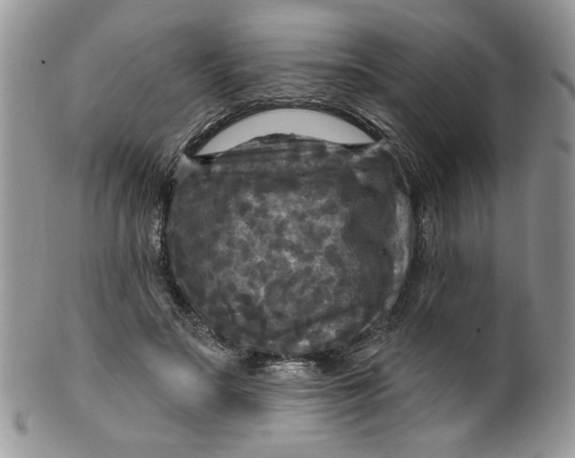 X0000099950499200806131450