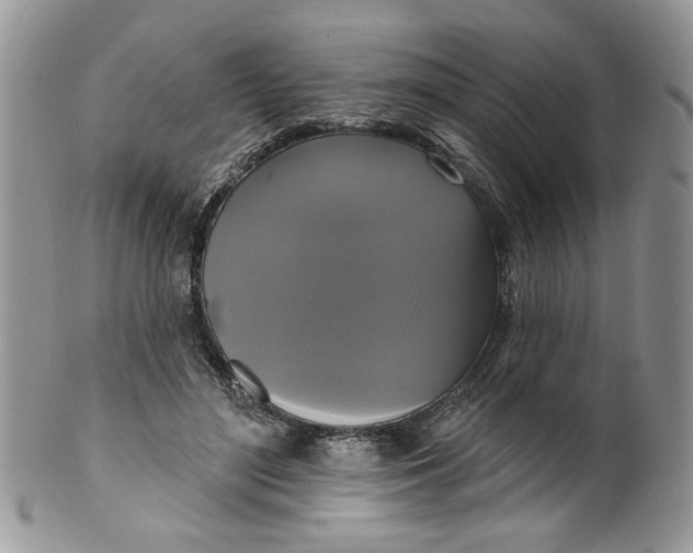 X0000099950500200806131450