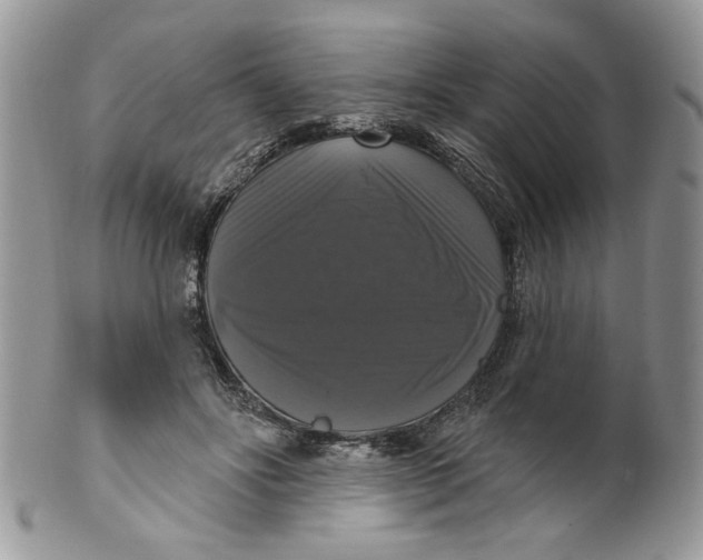 X0000099950502200806131450