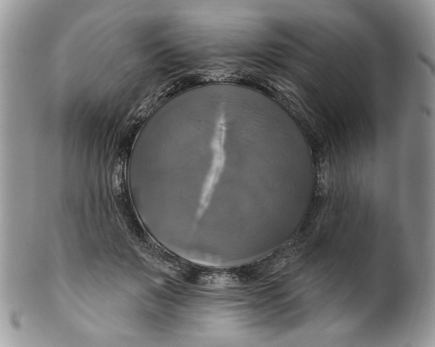 X0000099950503200806131450