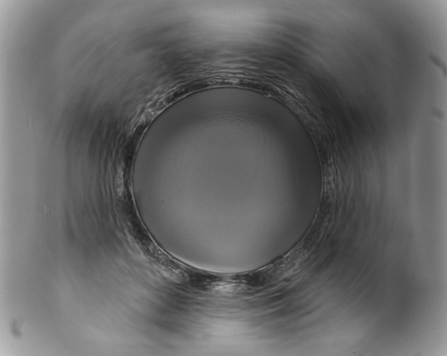 X0000099950504200806131450