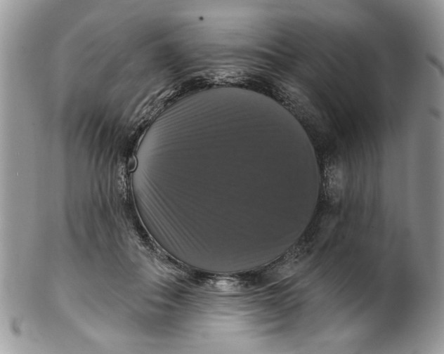 X0000099950506200806131450