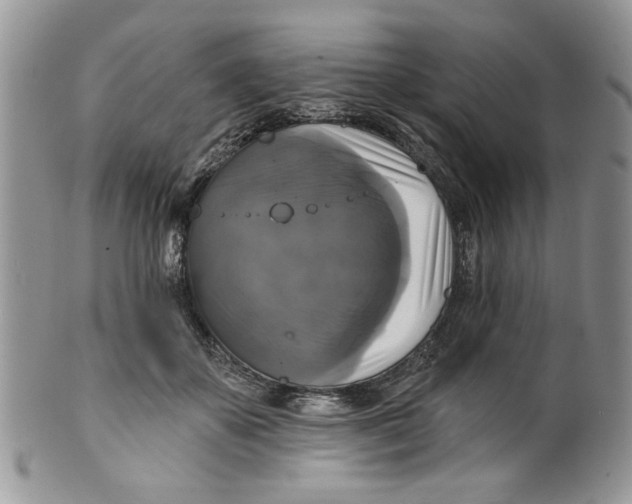 X0000099950507200806131450